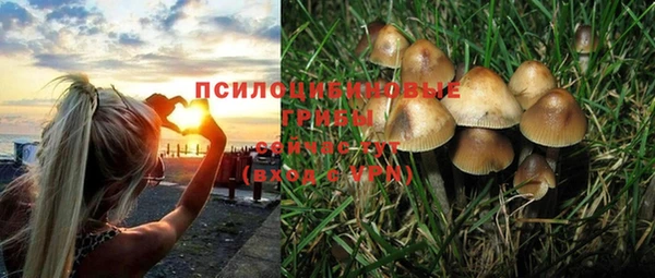 кристаллы Елабуга